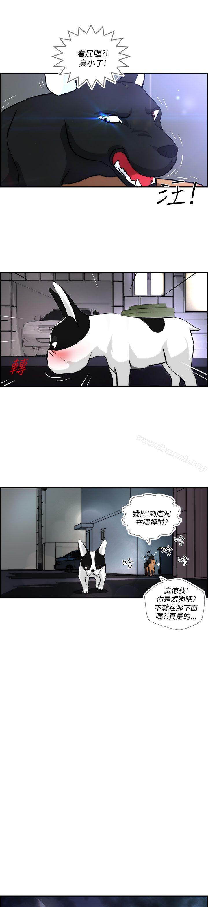 9P - 变成狗的男人