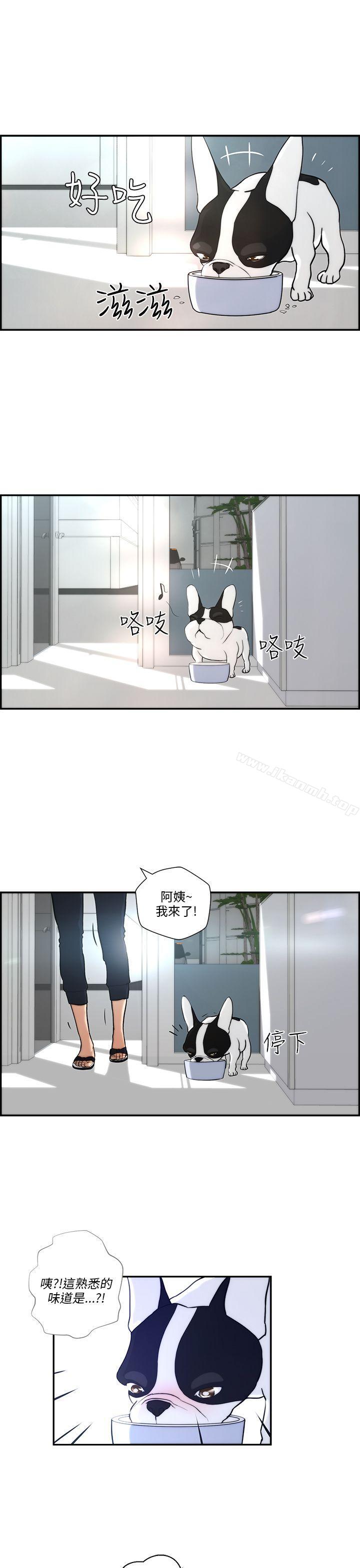 21P - 变成狗的男人