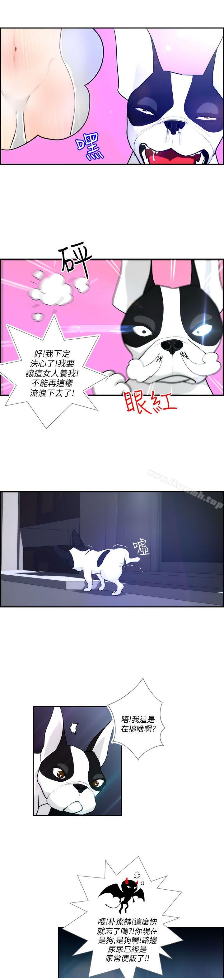 5P - 变成狗的男人
