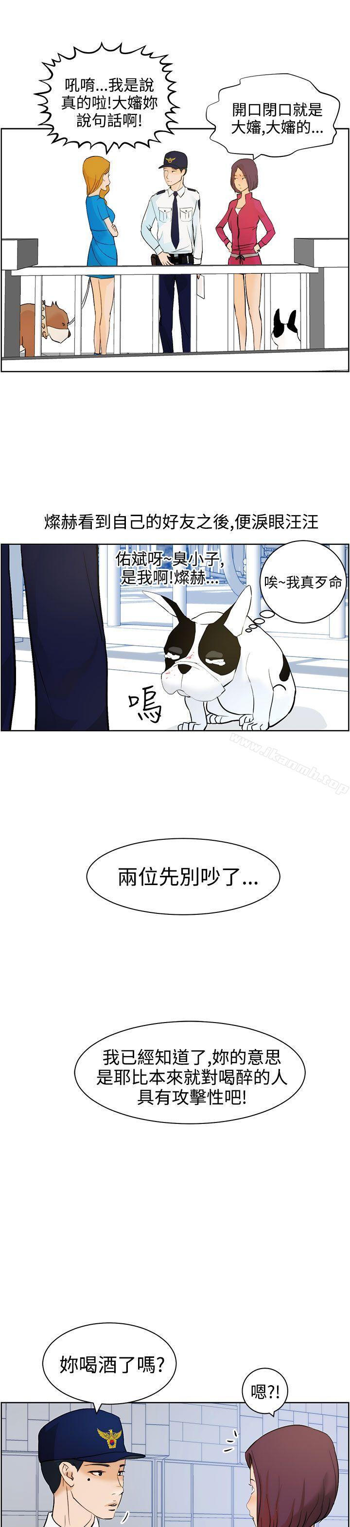 19P - 变成狗的男人