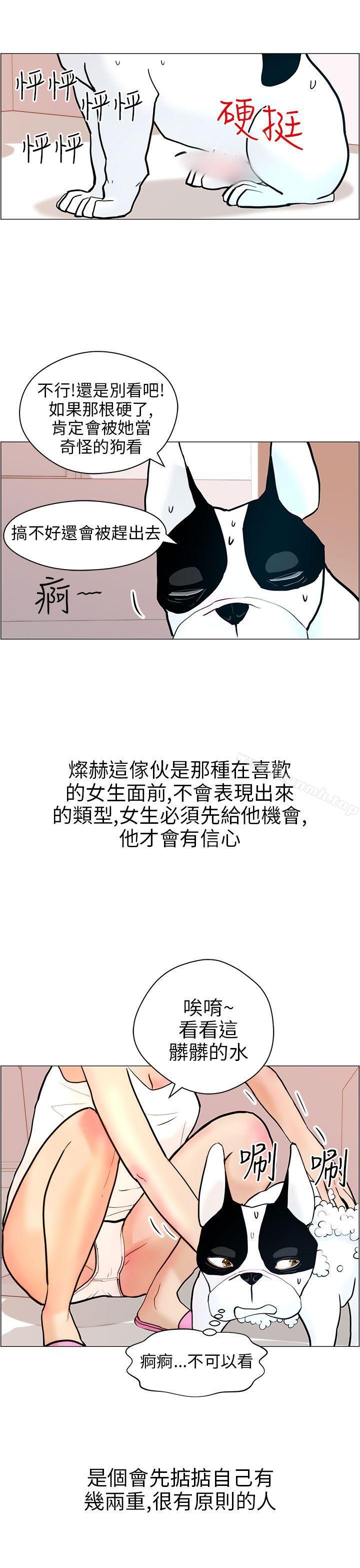 15P - 变成狗的男人