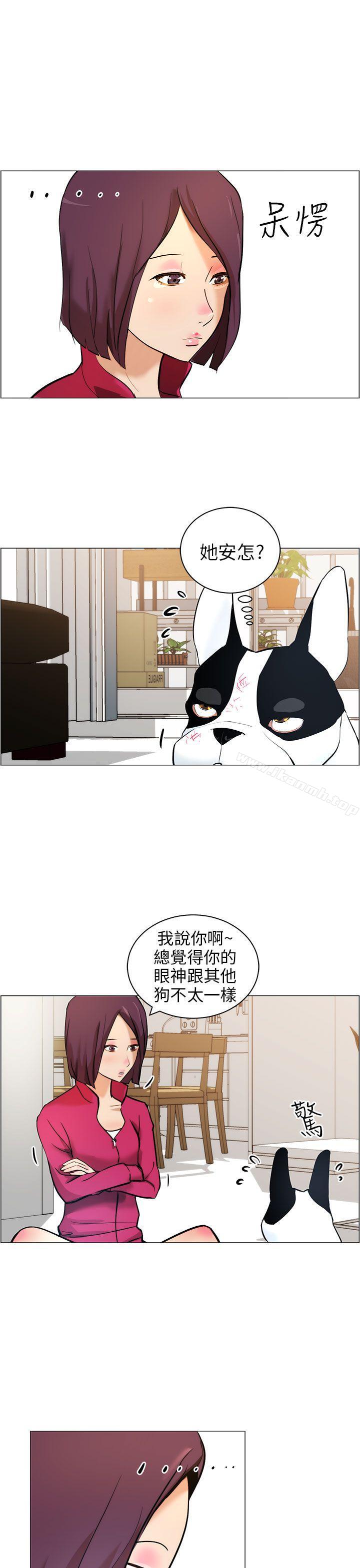 7P - 变成狗的男人