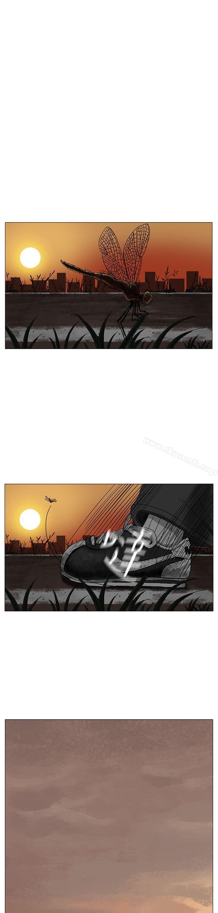 35P - RUN（完结）