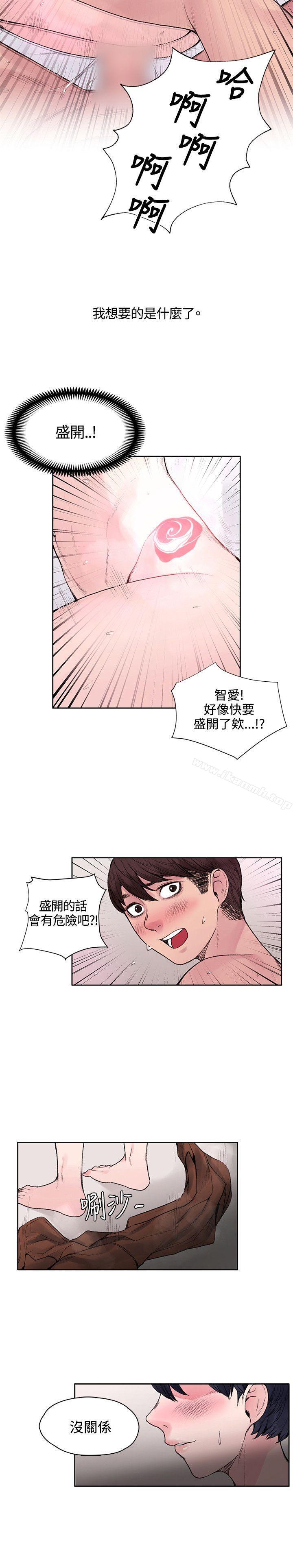 24P - 那里的香气