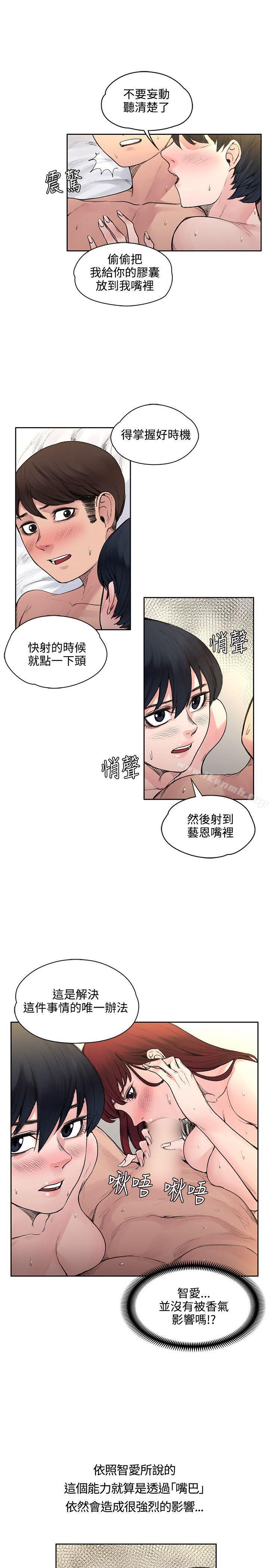 7P - 那里的香气