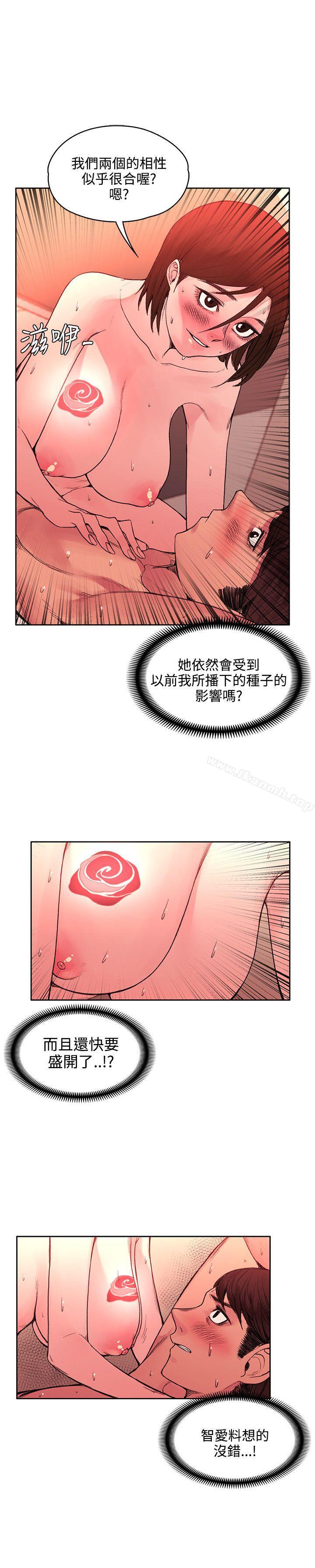14P - 那里的香气