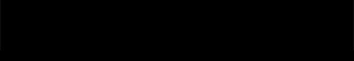 4P - 帮派女婿