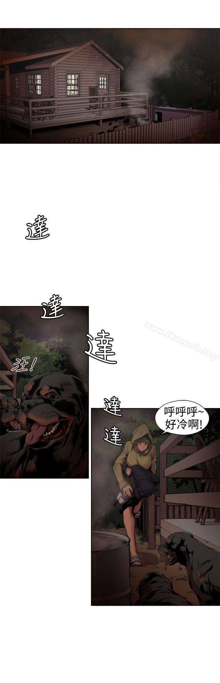 1P - 捕猎母猪(完结)