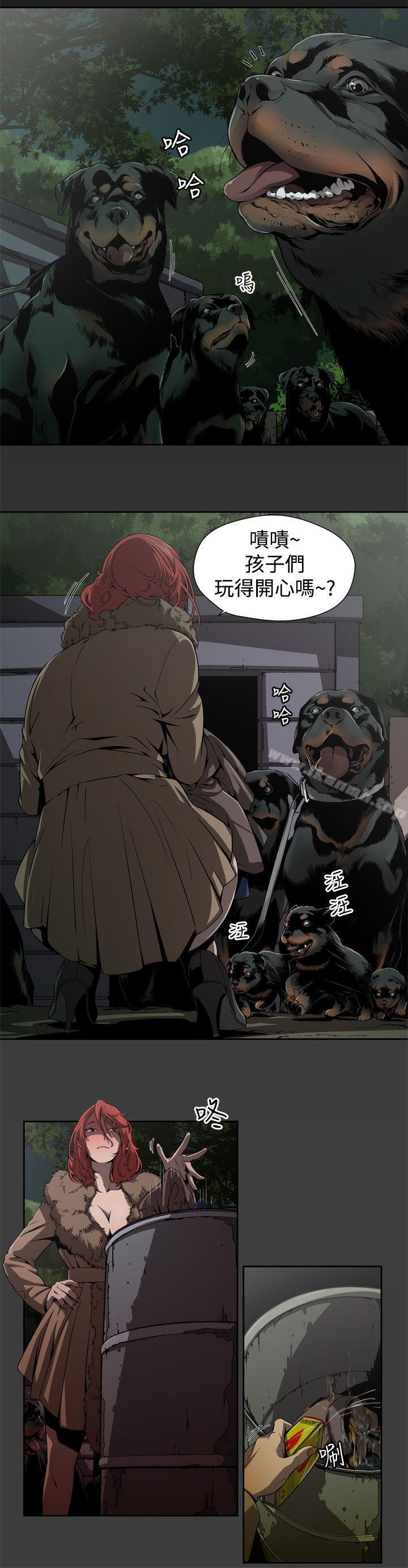 10P - 捕猎母猪(完结)
