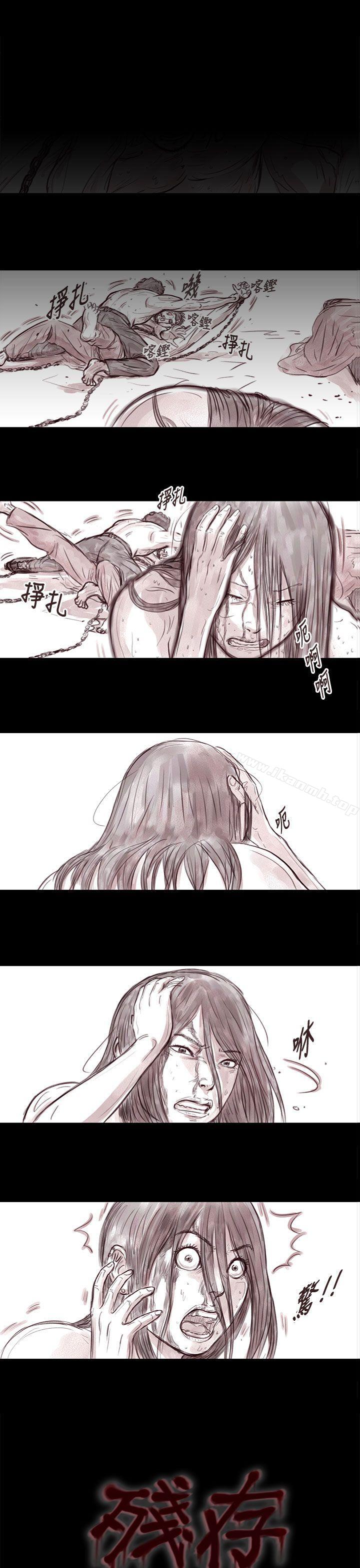 1P - 残存