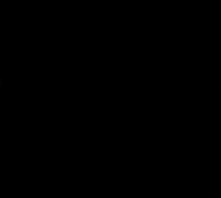 12P - 残存