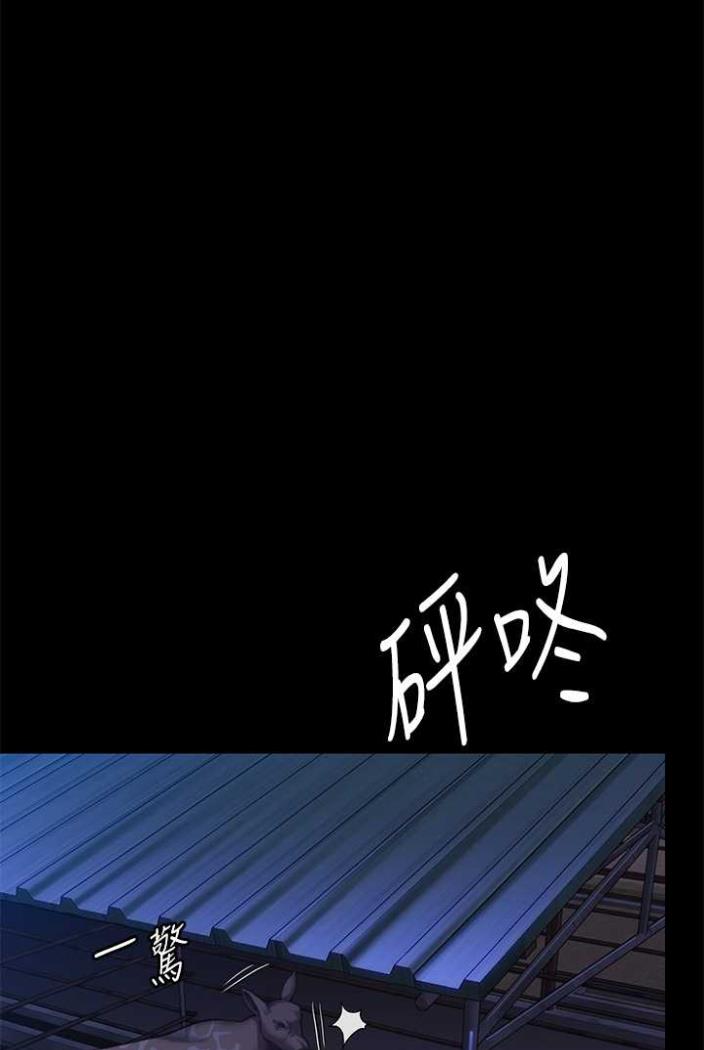 40P - 傀儡