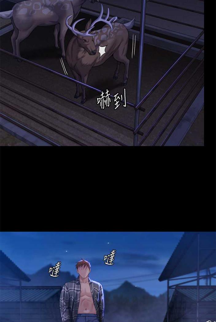 41P - 傀儡