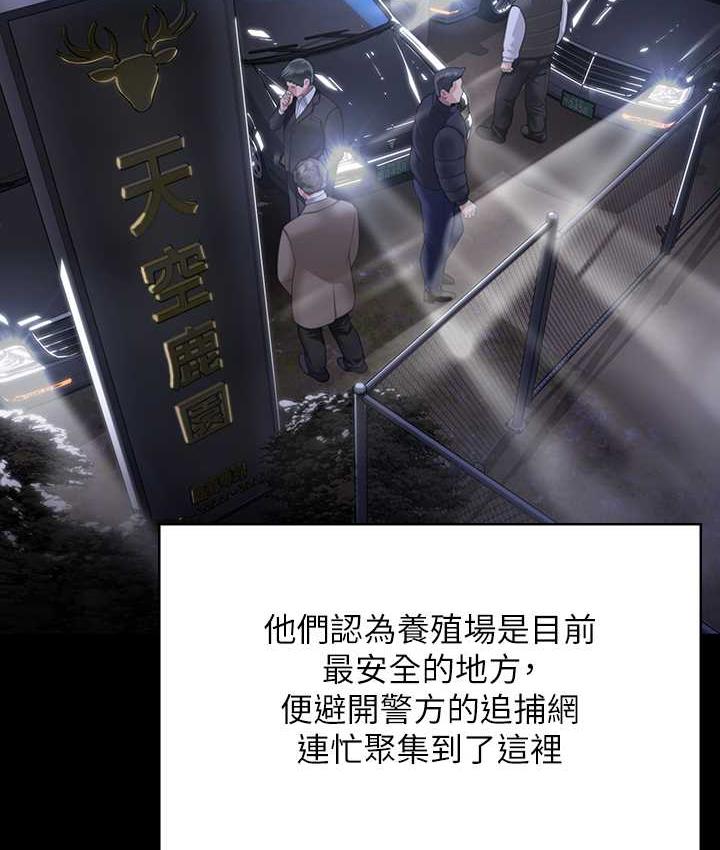 35P - 傀儡