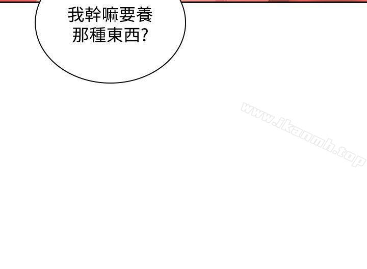 15P - 延希(又名美丽蜕变)