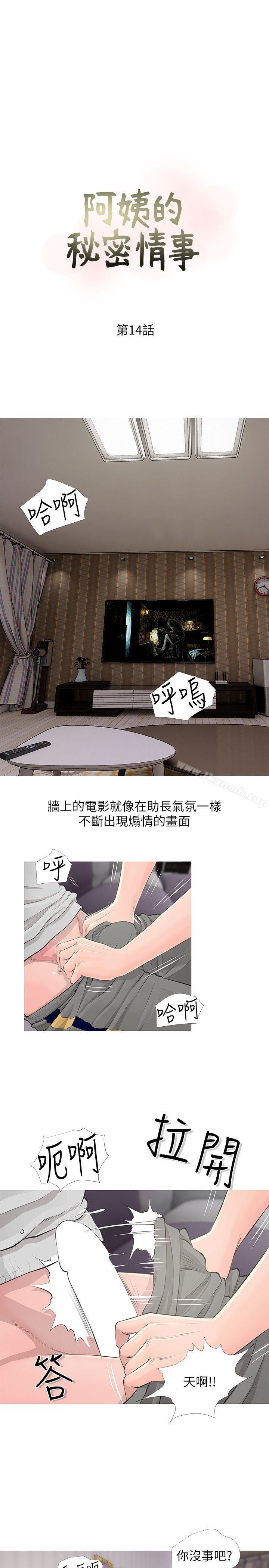 3P - 阿姨的秘密情事