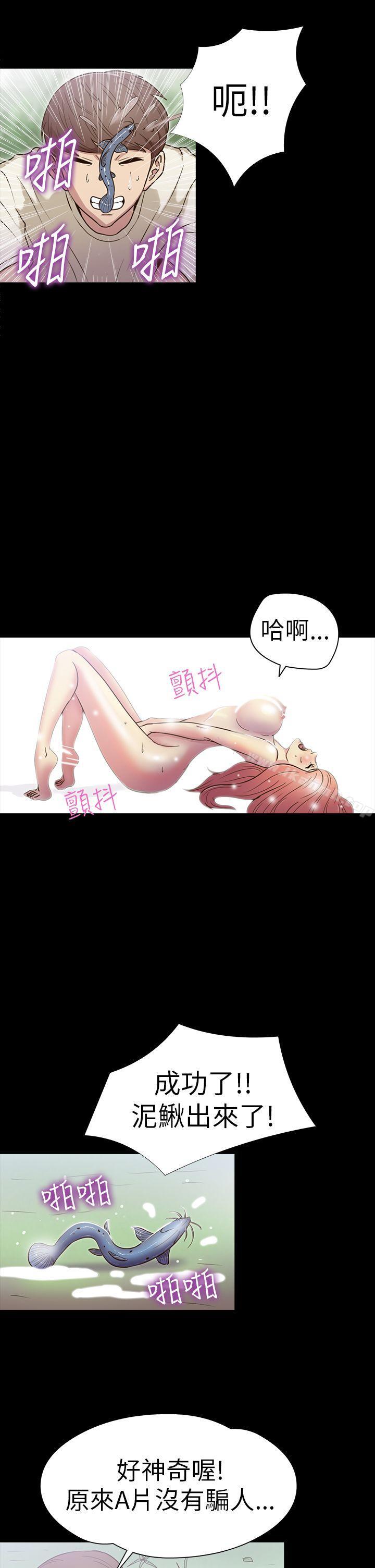2P - 神秘贝壳岛