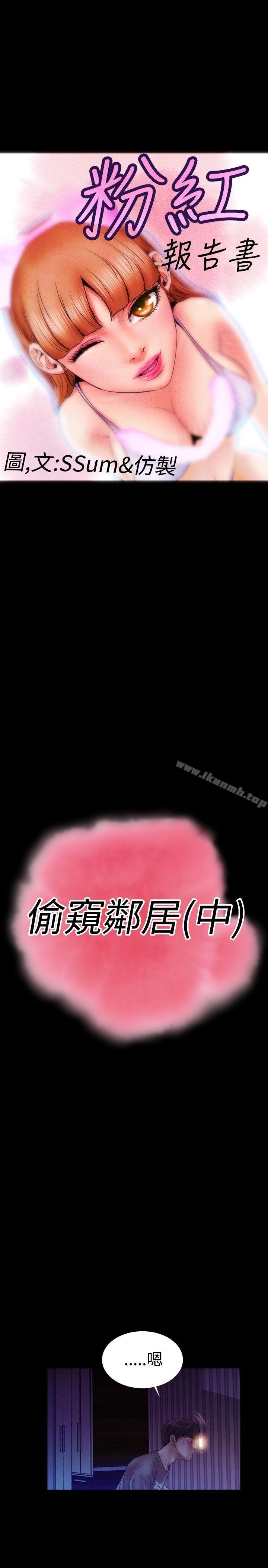 1P - 粉红报告书(完结)