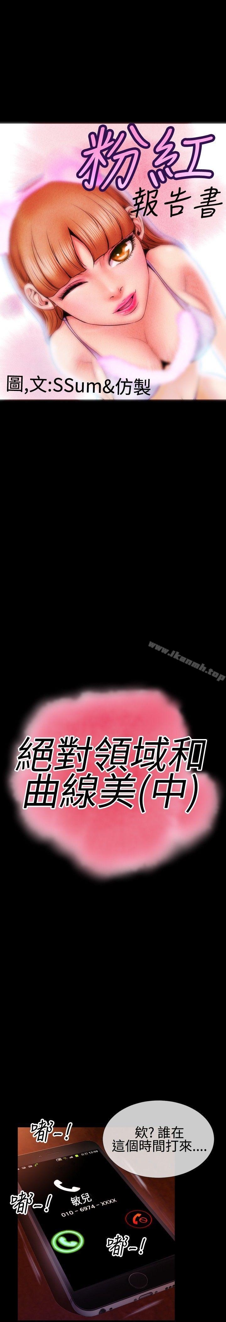 1P - 粉红报告书(完结)