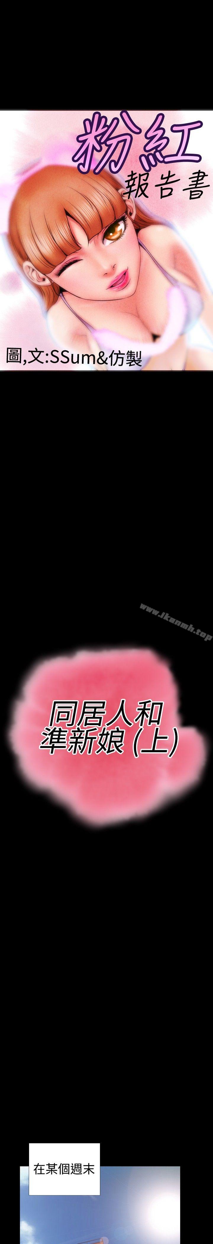1P - 粉红报告书(完结)