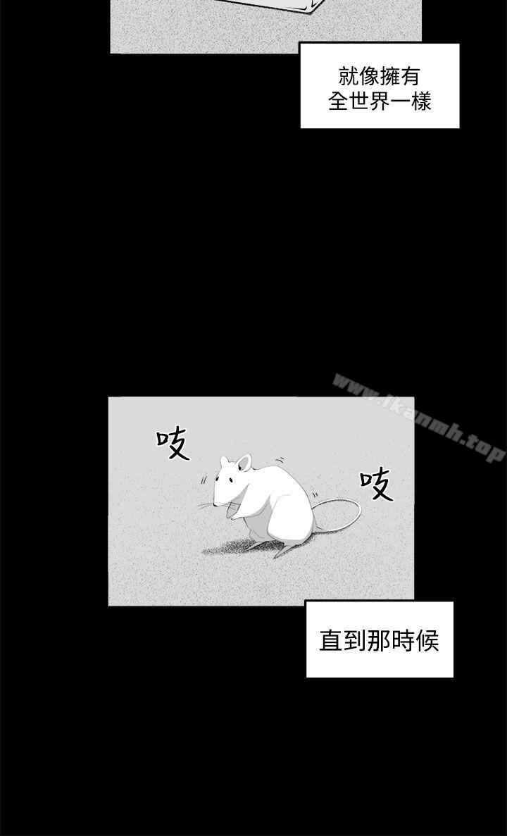 8P - 圈套