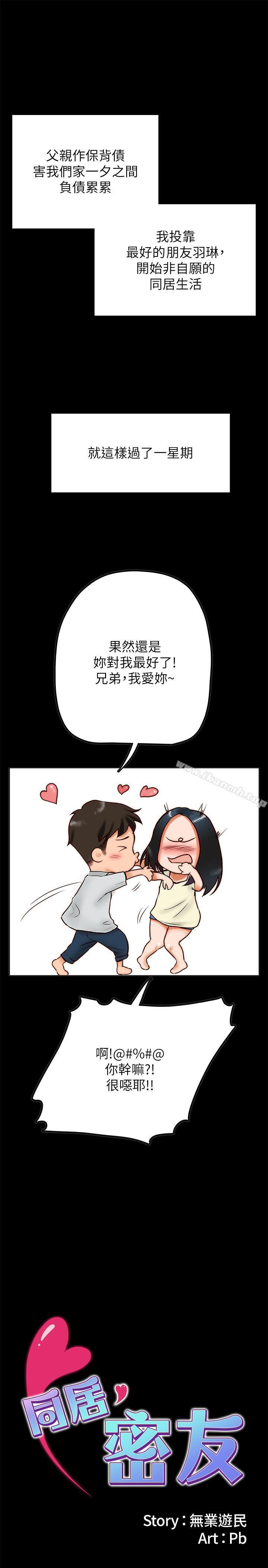 1P - 同居密友