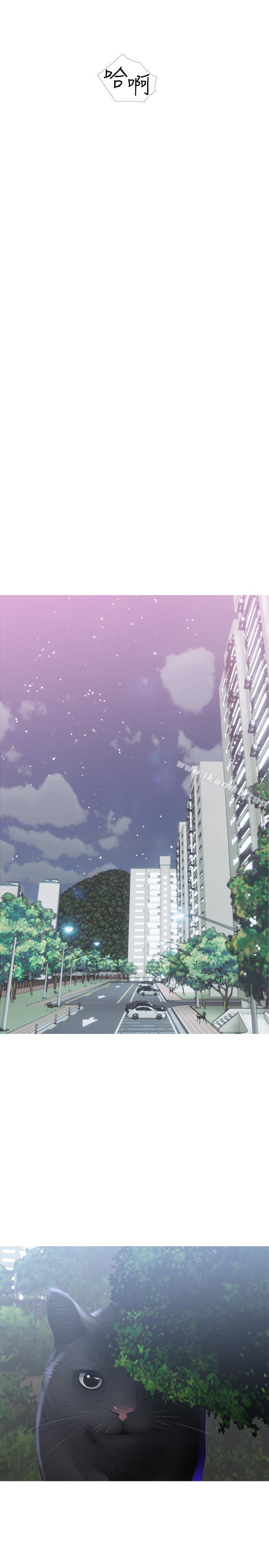 13P - 主妇危机