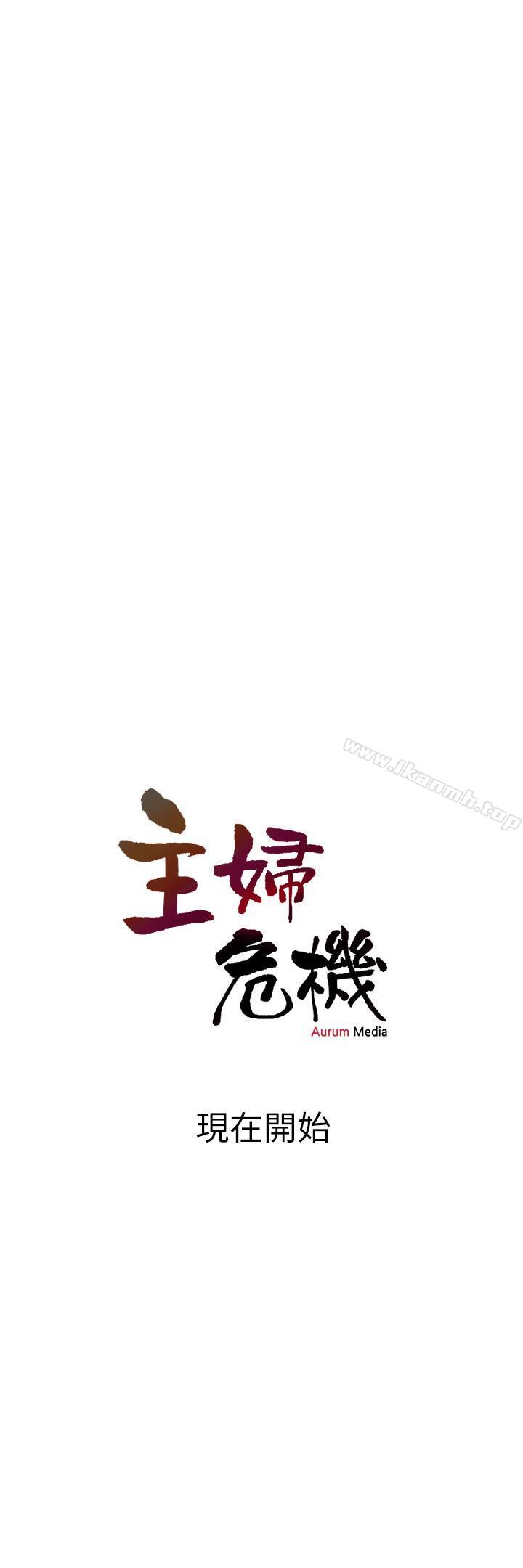 30P - 主妇危机