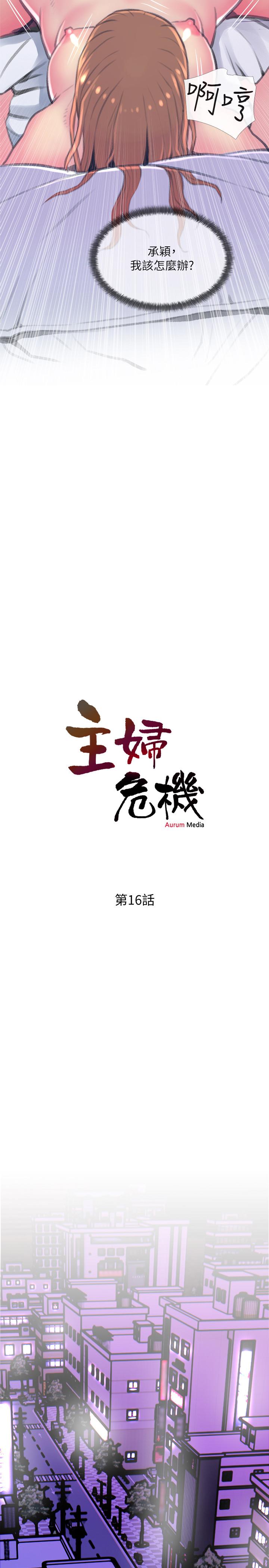 2P - 主妇危机