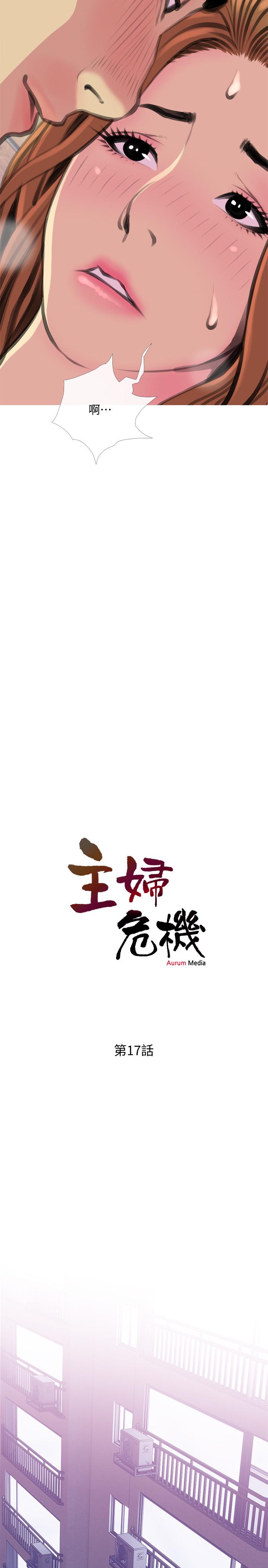 2P - 主妇危机