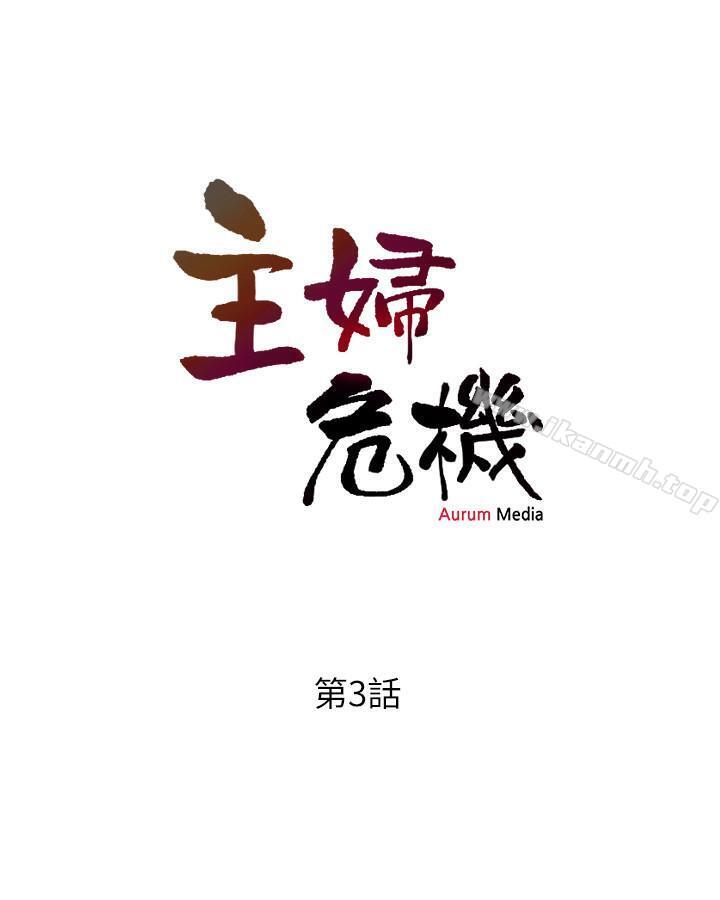 3P - 主妇危机