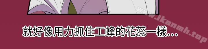 12P - 天使的眼泪(完结)