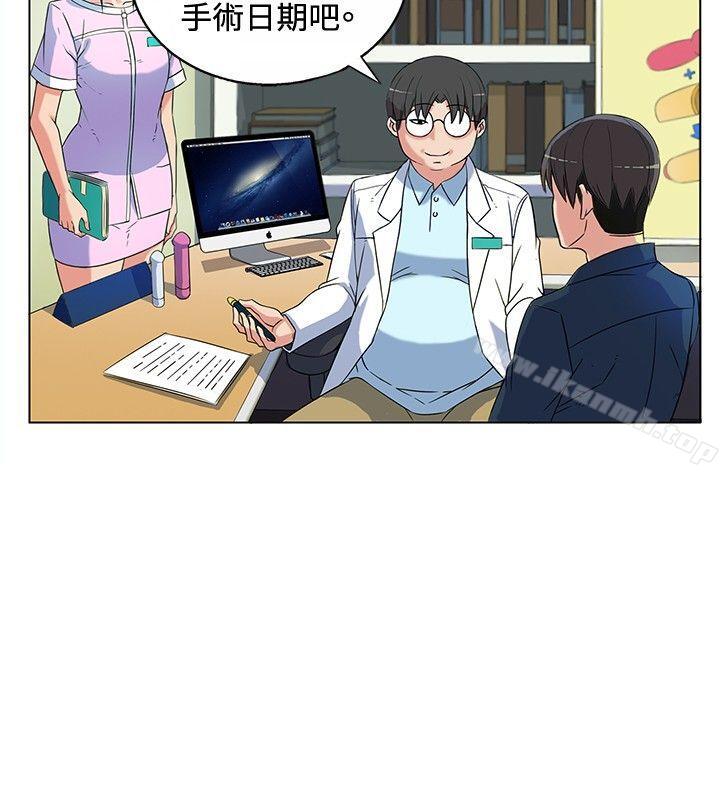 14P - 30cm立约人