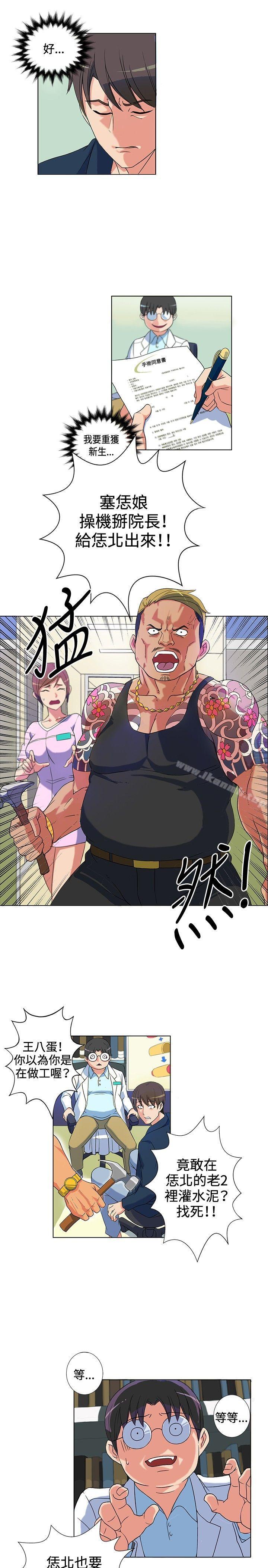 15P - 30cm立约人