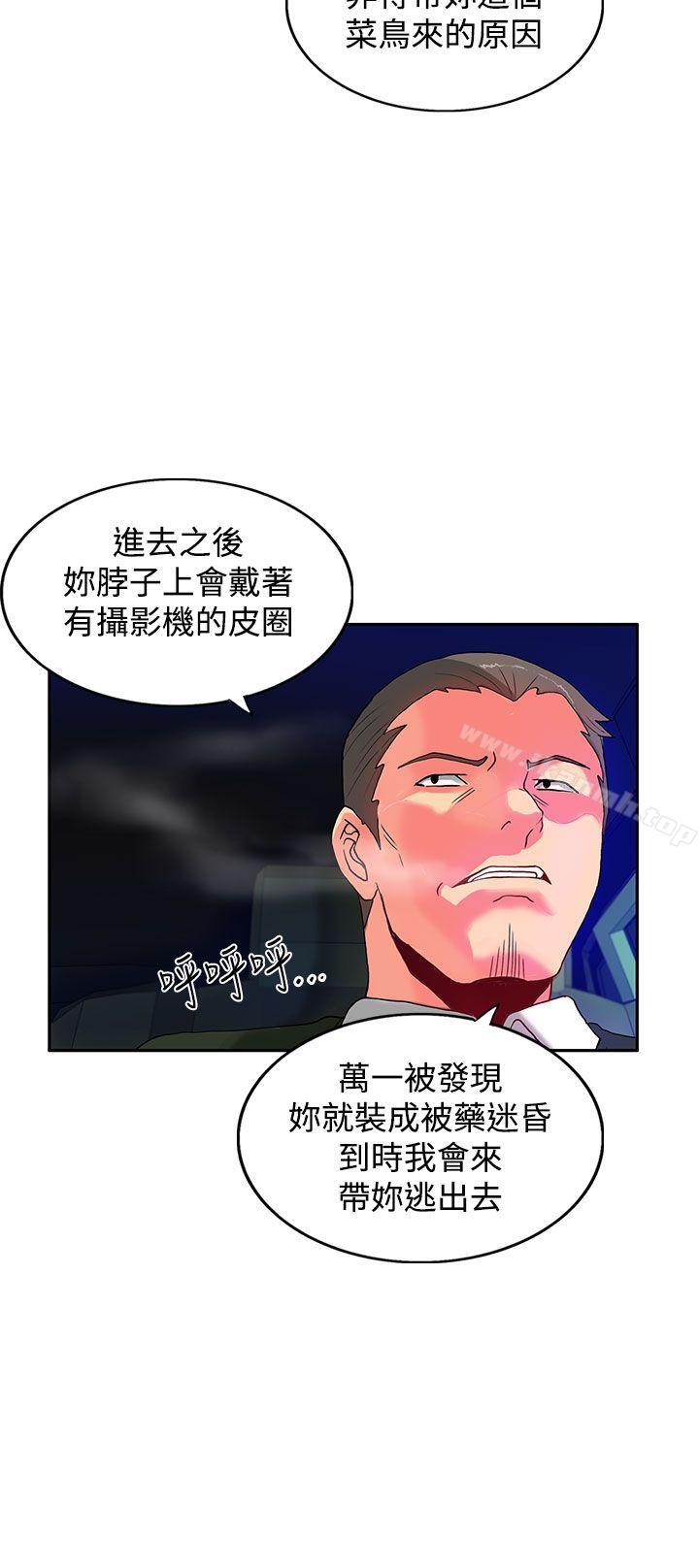 5P - 30cm立约人