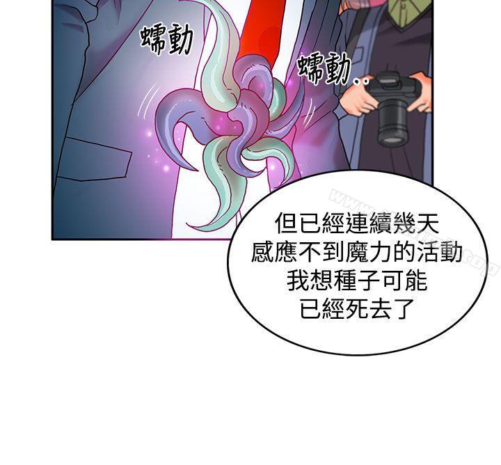 17P - 30cm立约人