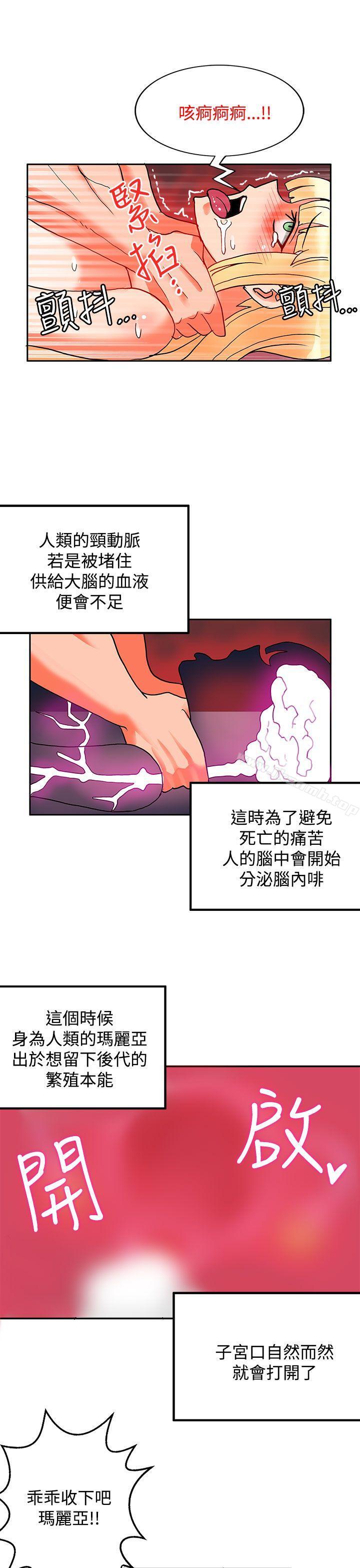 23P - 30cm立约人