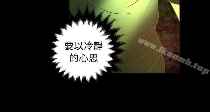 11P - 丛林爱爱法则