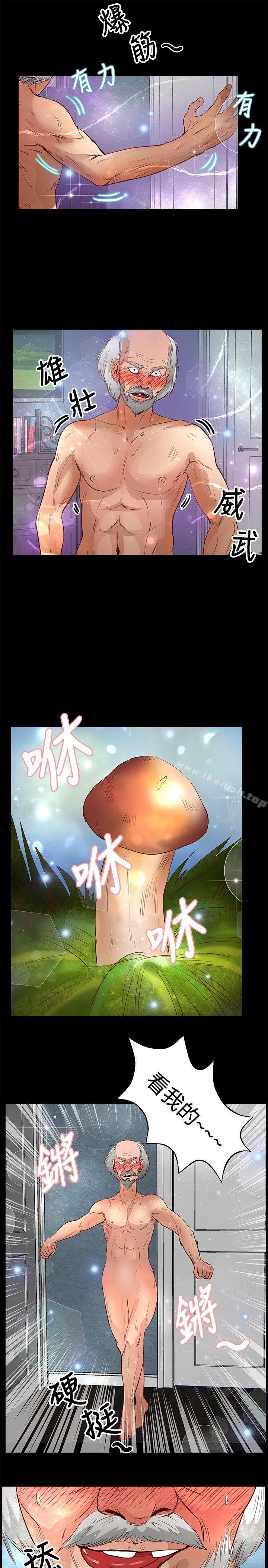 5P - 丛林爱爱法则
