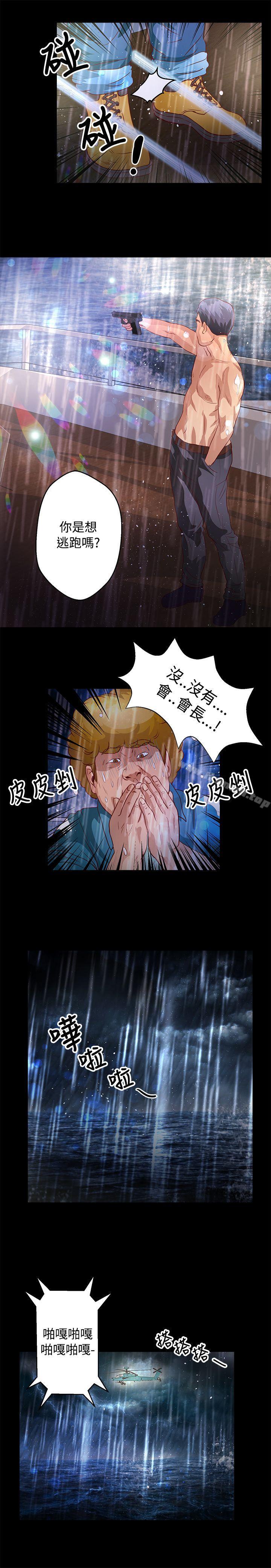 14P - 丛林爱爱法则