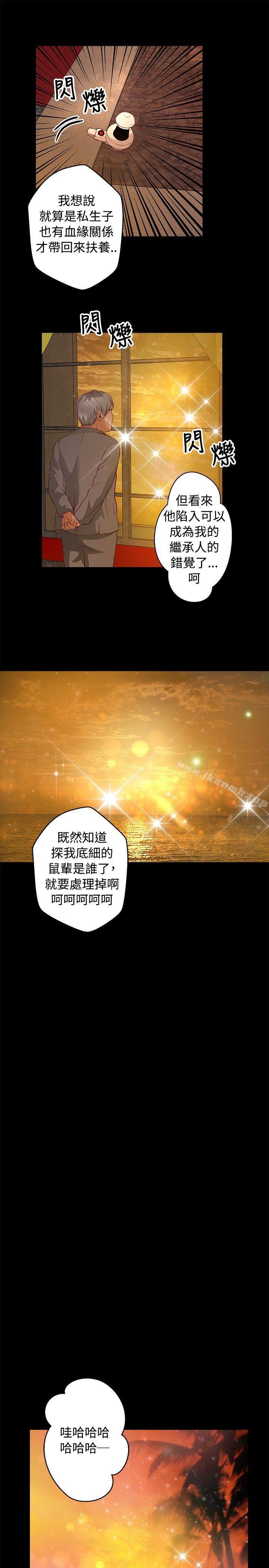 14P - 丛林爱爱法则