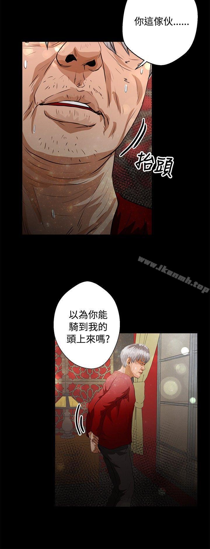 11P - 丛林爱爱法则