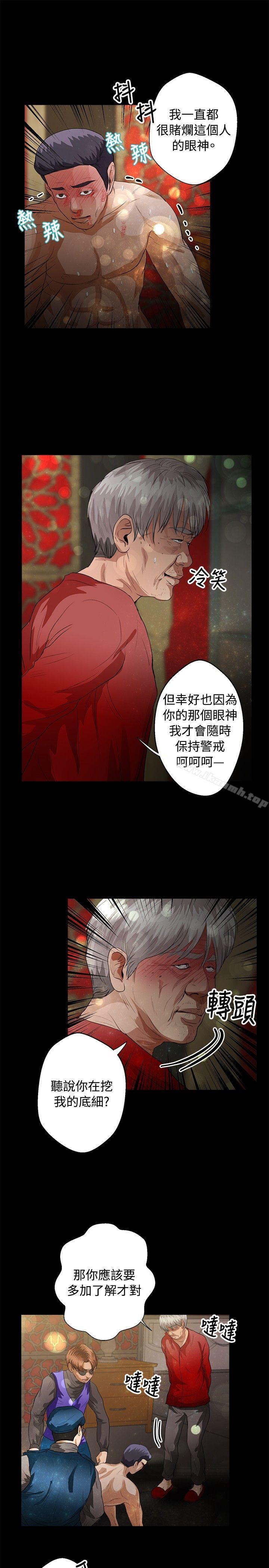 12P - 丛林爱爱法则