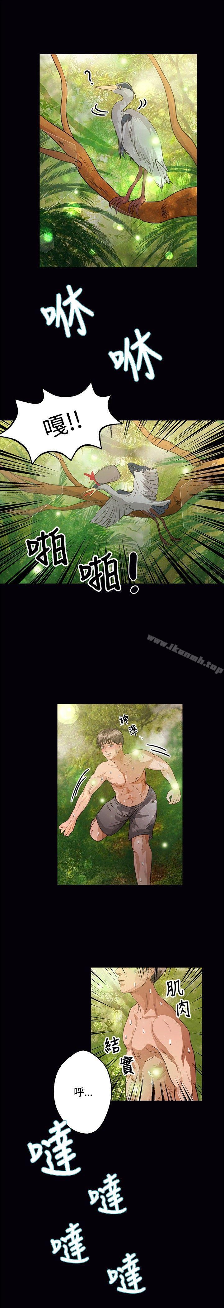 4P - 丛林爱爱法则