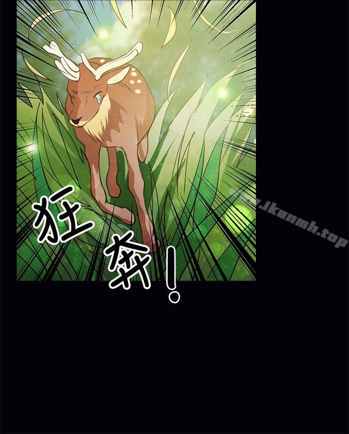 5P - 丛林爱爱法则
