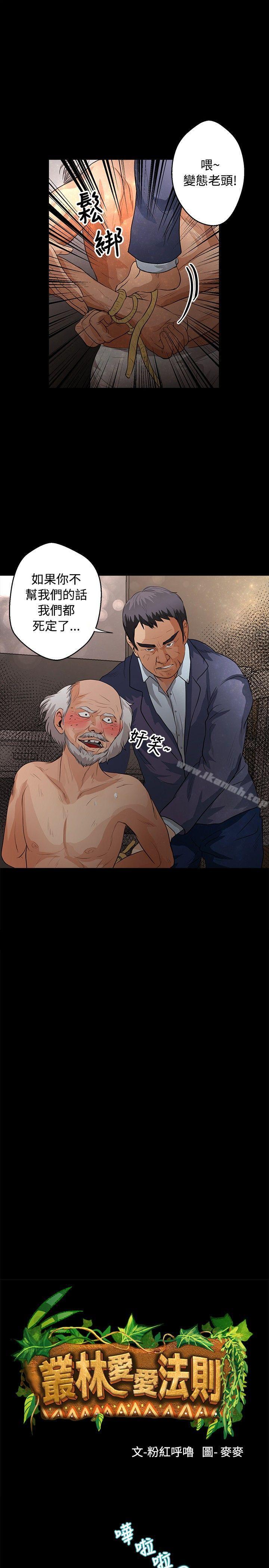 1P - 丛林爱爱法则