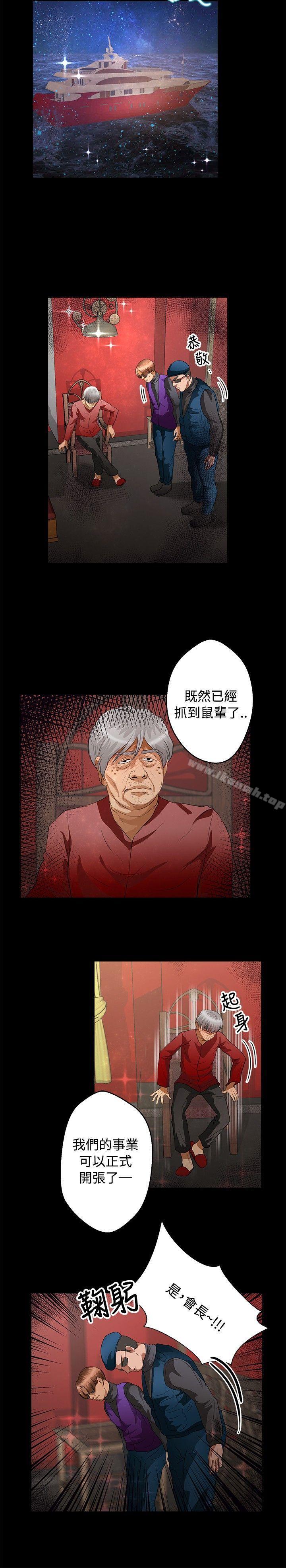 2P - 丛林爱爱法则