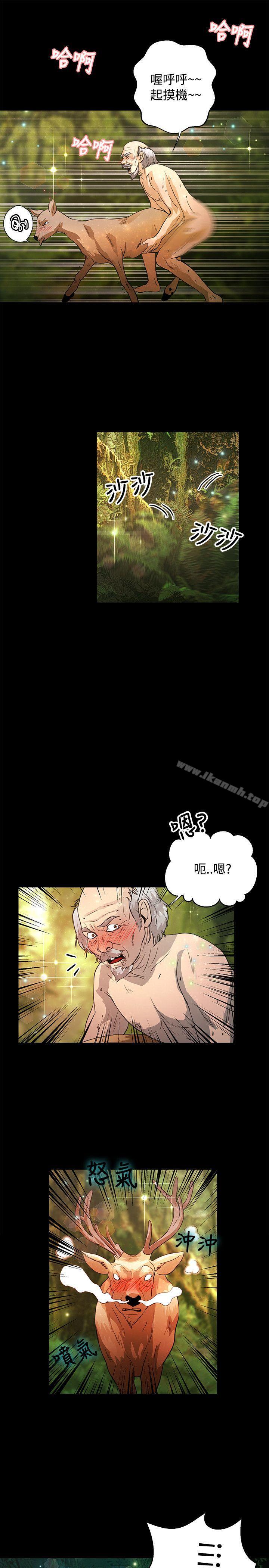 22P - 丛林爱爱法则