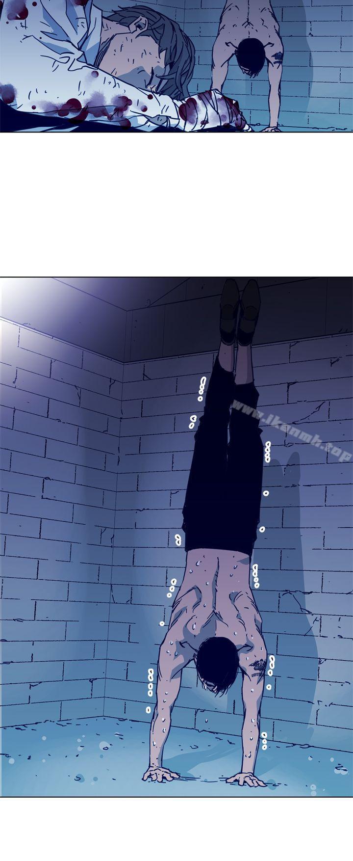16P - 清道夫K