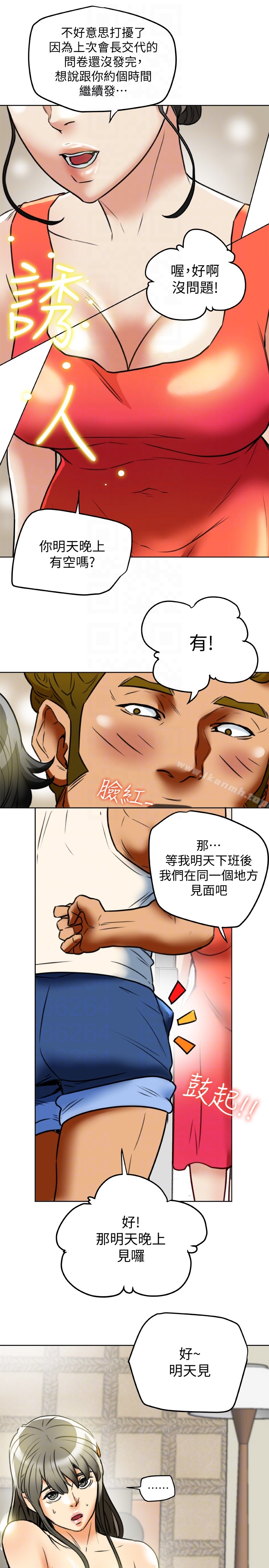 33P - 有夫同享